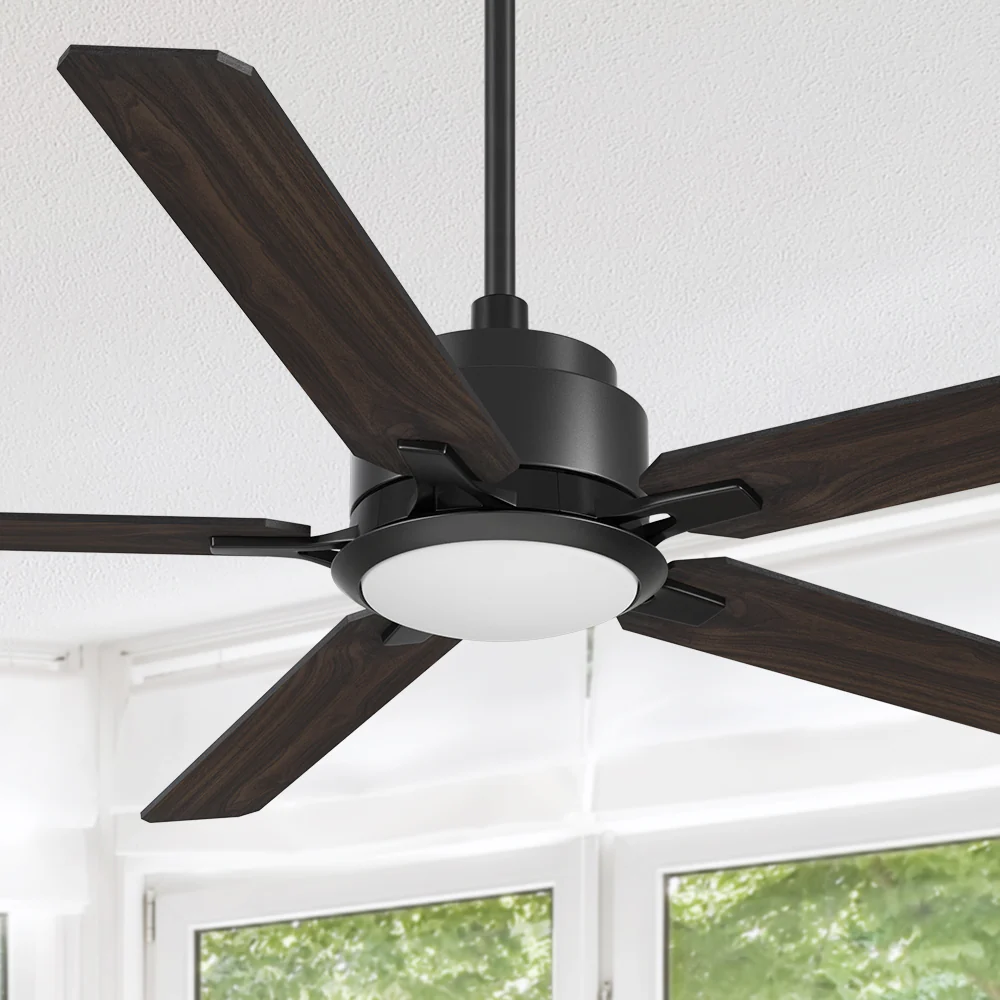 Ceiling Fan